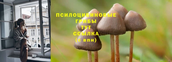 гашик Козловка