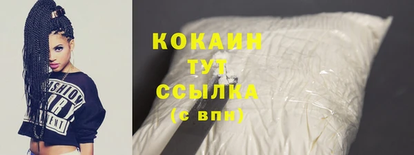 ешки Корсаков