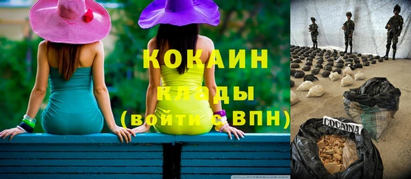 индика Коряжма