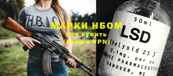 гашик Козловка