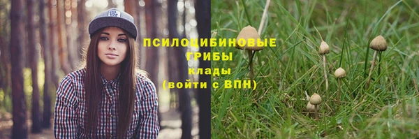 соль ск Киреевск