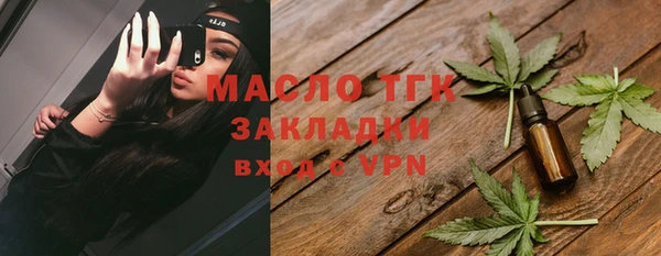 гашик Козловка