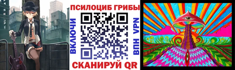 ссылка на мегу онион Костомукша Псилоцибиновые грибы Psilocybe купить наркоту
